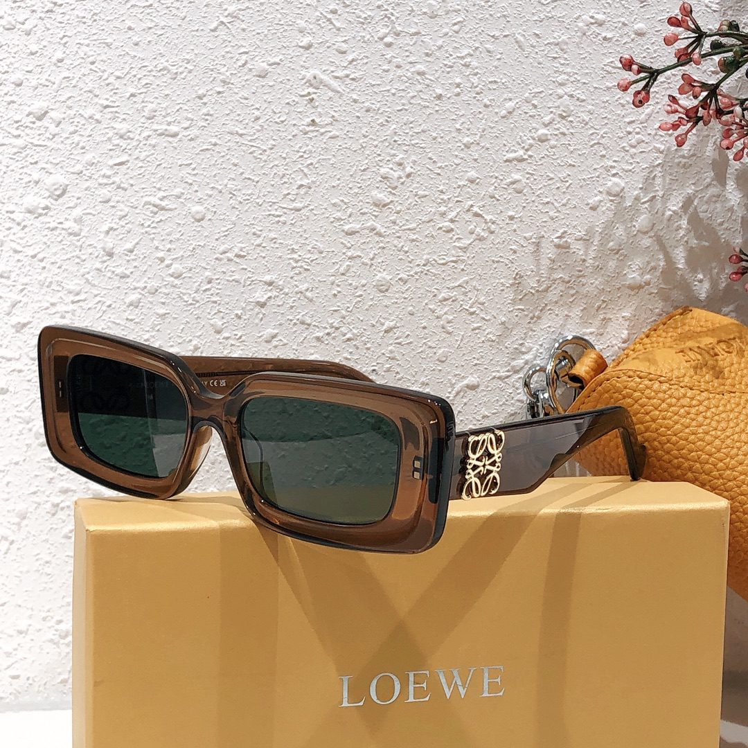 LOEWE SUNGLASSES