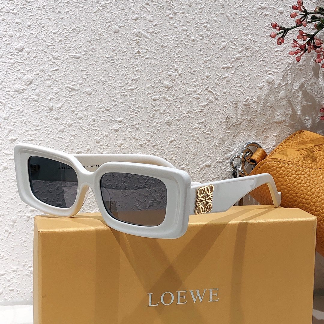 LOEWE SUNGLASSES