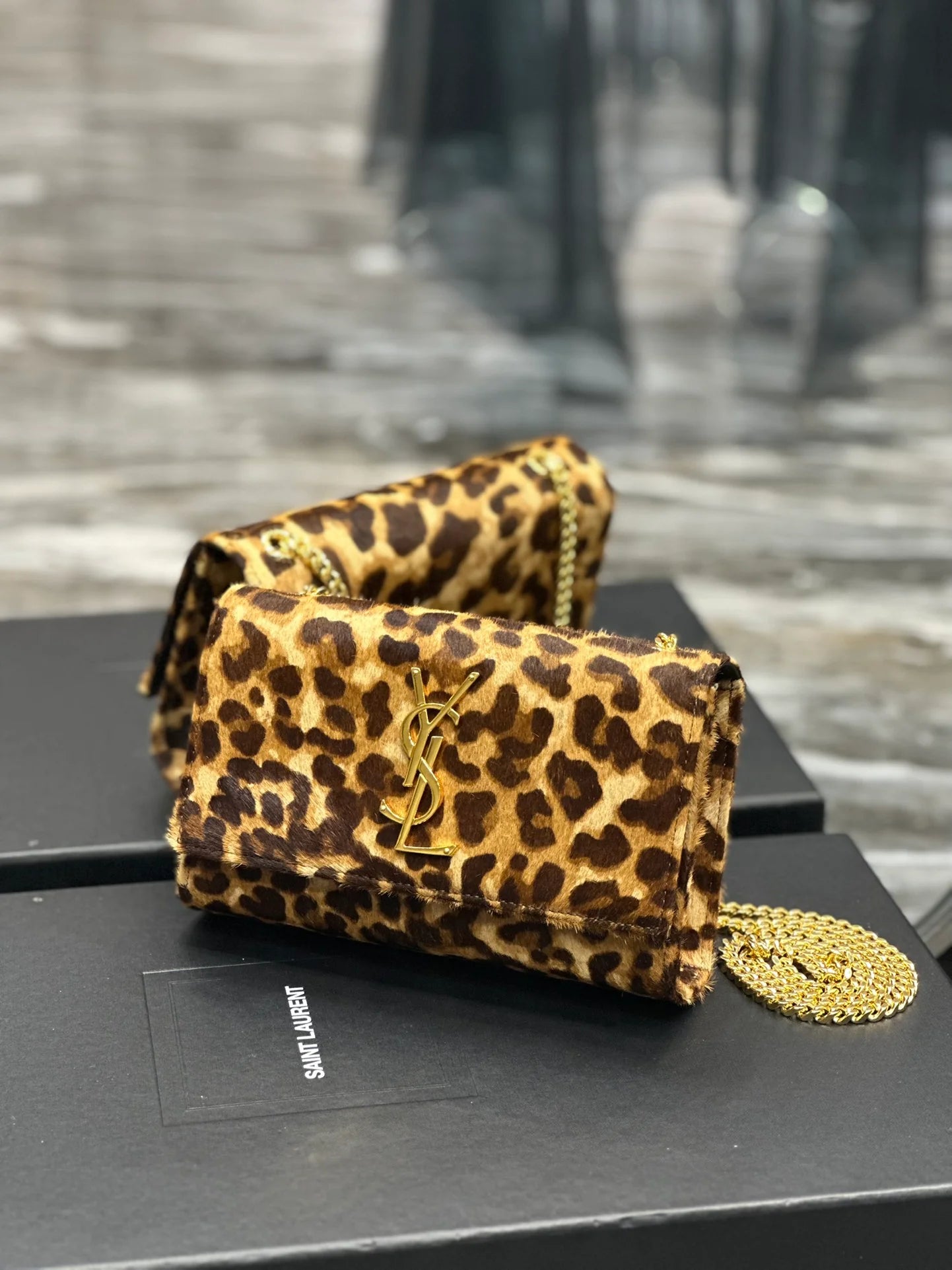YSL BAG